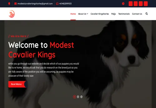 is modestcavalierkingcharlesspaniel.com legit? screenshot