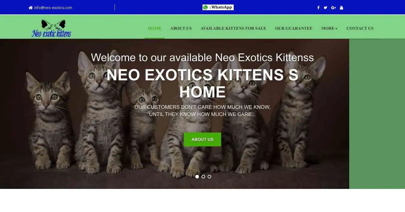 is neo-exotics.com legit? screenshot