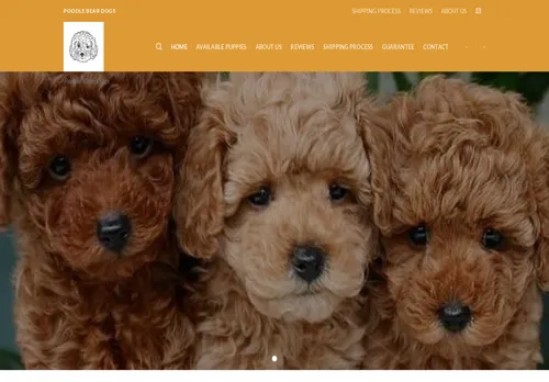 is poodlebeardogs.com legit? screenshot