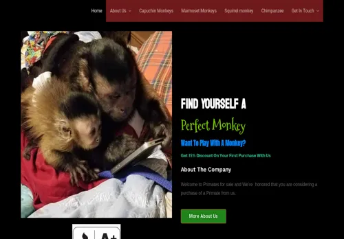 is primatesforsale.com legit? screenshot