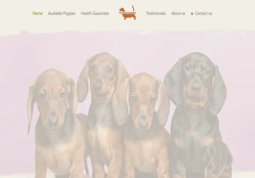 is purebreedachshund.com legit? screenshot