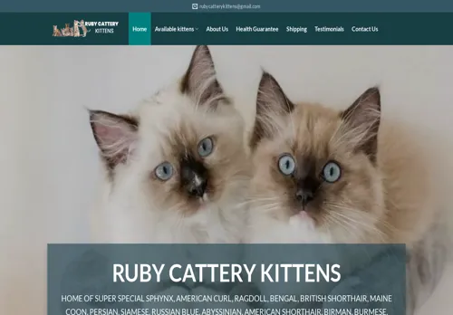 is rubycatterykittens.com legit? screenshot