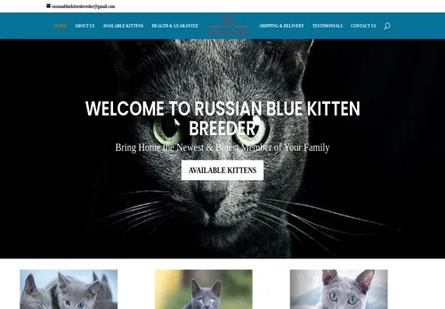 is russianbluekittenbreeder.com legit? screenshot