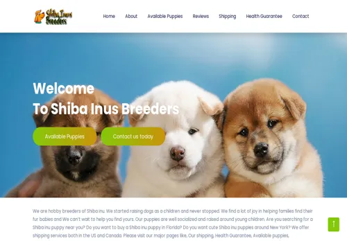 is shibainusbreeders.com legit? screenshot