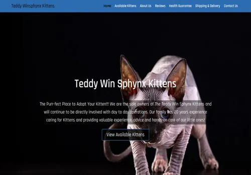 is teddywinsphynxkittens.com legit? screenshot