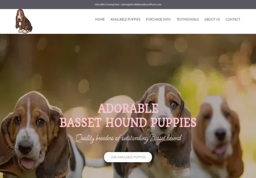 is adorablebassethoundhome.com legit? screenshot