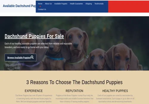 is availabledachshuudpuppies.com legit? screenshot