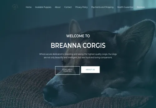 is breannacorgis.com legit? screenshot