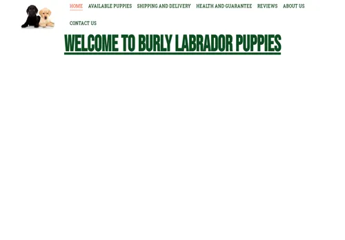 is burlylabradorpuppies.com legit? screenshot