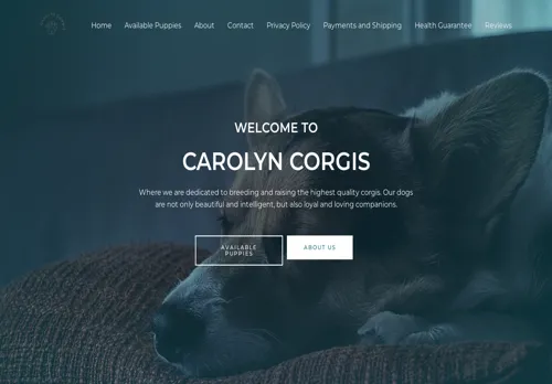 is carolyncorgis.com legit? screenshot