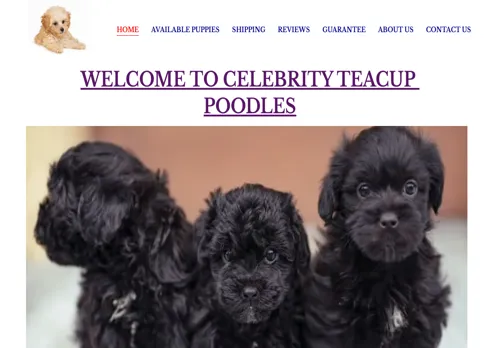 is celebrityteacuppoodles.com legit? screenshot