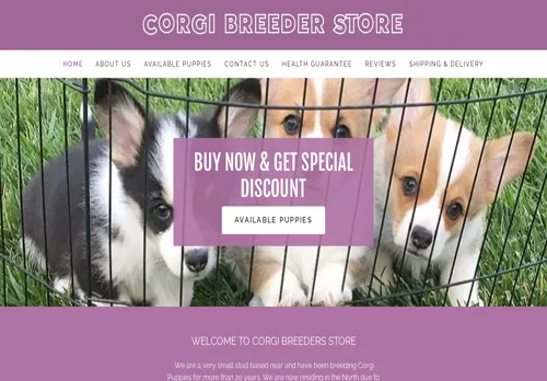 is corgibreedersstore.com legit? screenshot
