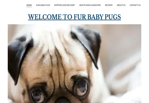 is furbabypugs.com legit? screenshot