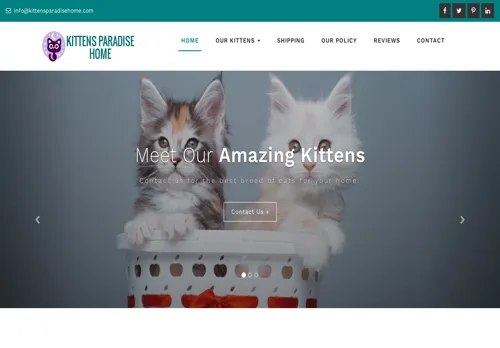 is kittensparadisehome.com legit? screenshot