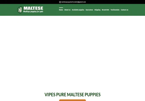 is maltesepuppiesforsales.com legit? screenshot