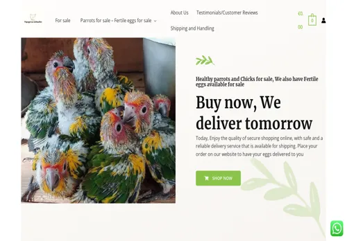 Papagei-zu-verkaufen.com
