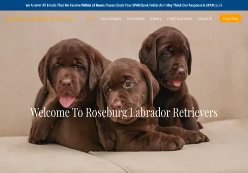 is roseburglabradorretrievers.com legit? screenshot