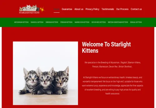 is starlightkittens.com legit? screenshot