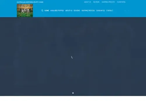 is australianshepherdspuppyhome.com legit? screenshot