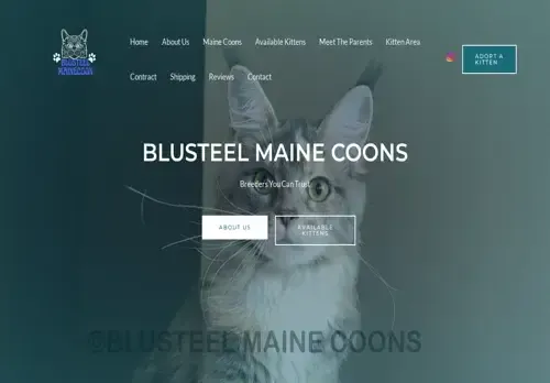 is blusteelmainecoon.com legit? screenshot