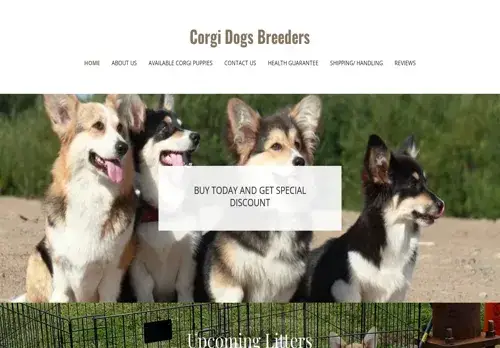 is corgidogsbreeders.com legit? screenshot