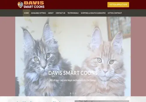 is davissmartcoons.com legit? screenshot