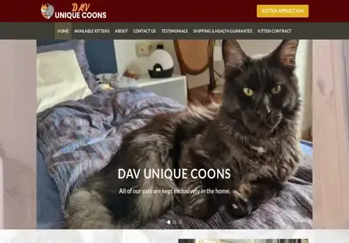 is davuniquecoons.com legit? screenshot