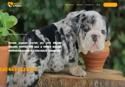 is donyaspuppies.com legit? screenshot