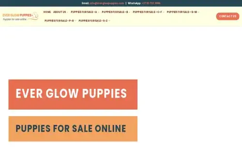 is everglowpuppies.com legit? screenshot