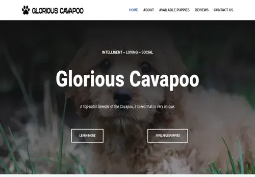 Gloriouscavapoo.com
