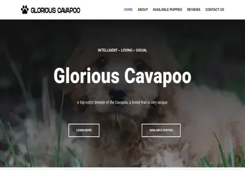 is gloriouscavapoo.com legit? screenshot