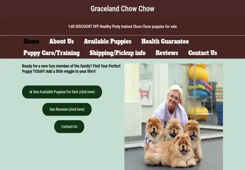 is gracelandchowchow.com legit? screenshot