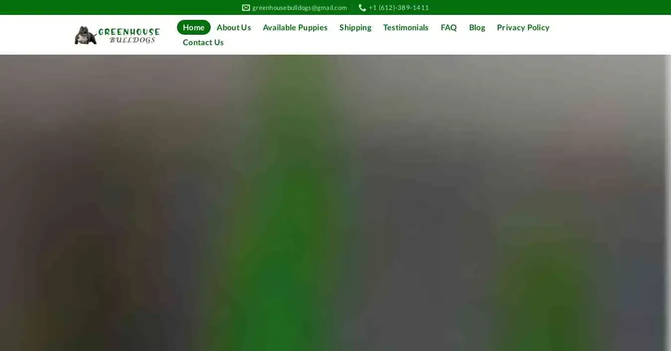 is greenhousebulldogs.com legit? screenshot