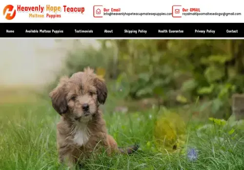 is heavenlyhopeteacupmatesepuppies.com legit? screenshot