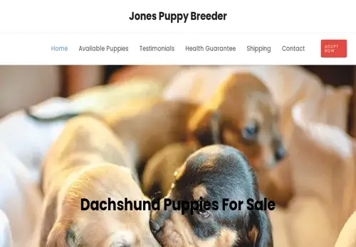 is jonespuppybreeder.com legit? screenshot