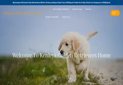 is kenleysgoldenretrievershome.com legit? screenshot