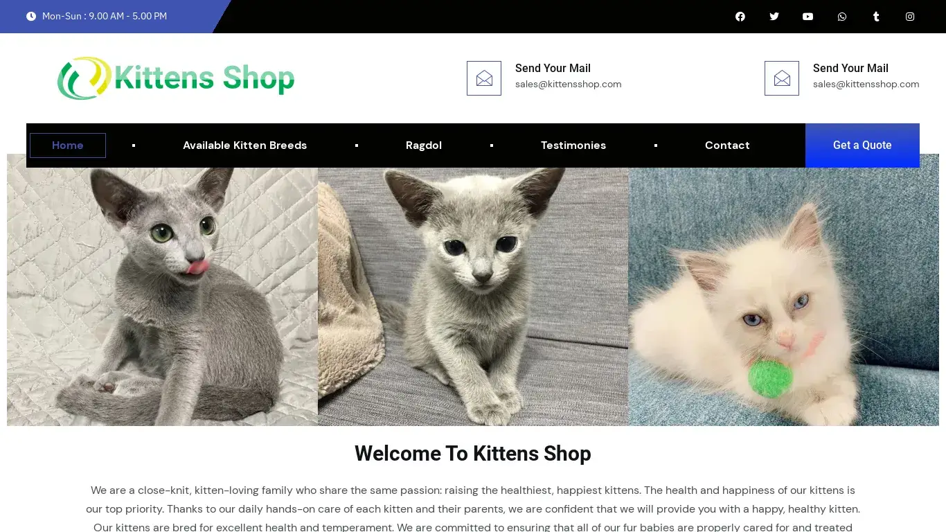 is kittensshop.com legit? screenshot