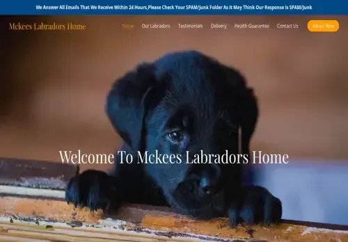 is mckeeslabradorshome.com legit? screenshot