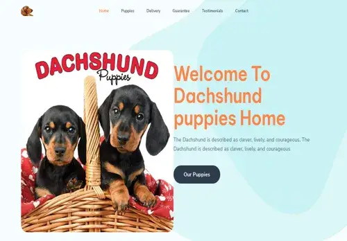 is milladachshunds.com legit? screenshot