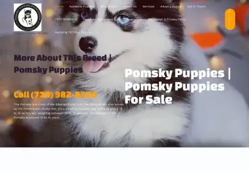 is pomskypuppiesbreeders.com legit? screenshot