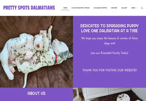 is prettyspotsdalmatians.com legit? screenshot