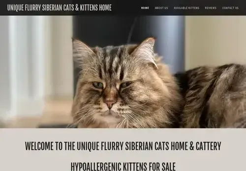 is siberiancatnkittensforsale.com legit? screenshot