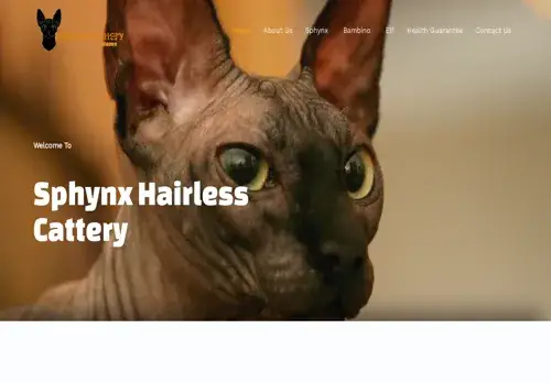 is sphynxhairlesscats.com legit? screenshot