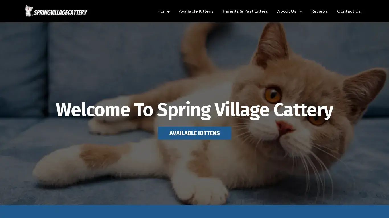 is springvillagecattery.com legit? screenshot