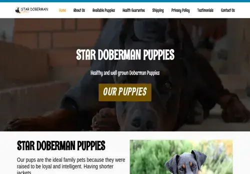 is stardobermanpuppies.com legit? screenshot