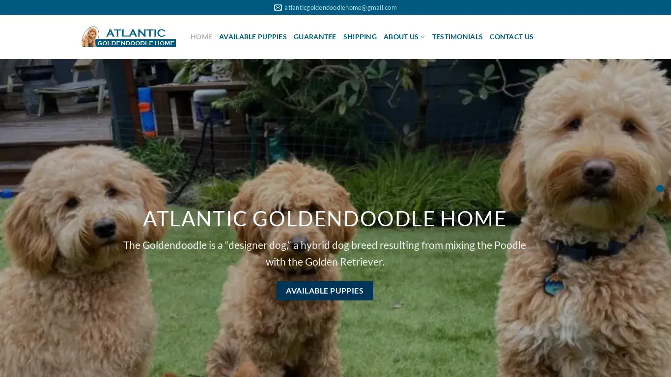 is atlanticgoldendoodlehome.com legit? screenshot