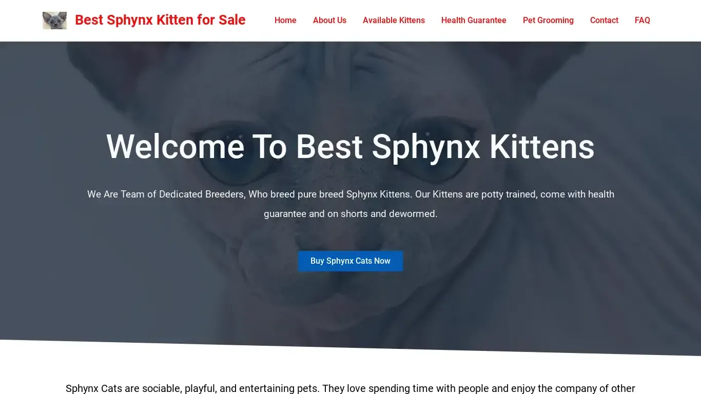 is bestsphynxkittenforsale.com legit? screenshot