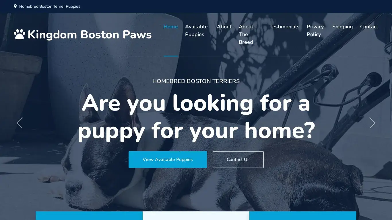 is bostonsparidise.com legit? screenshot
