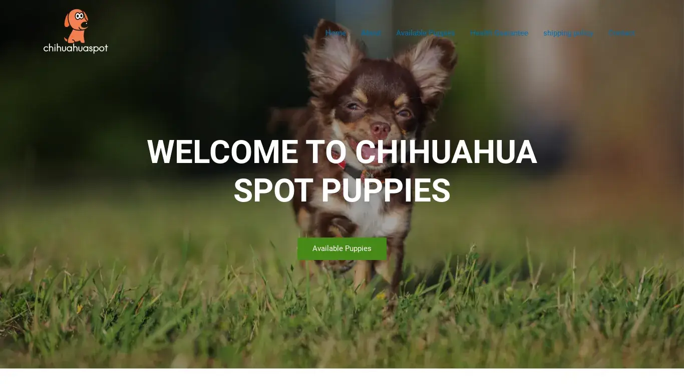 is chihuahua-spot.com legit? screenshot