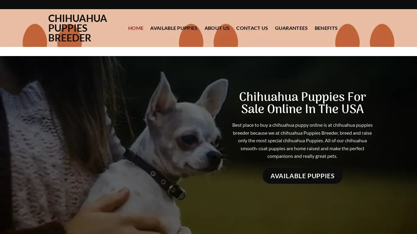 is chihuahuapuppiesbreeder.com legit? screenshot